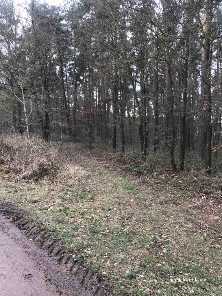 (93138) Lappersdorf - Unnamed Road — foto 3