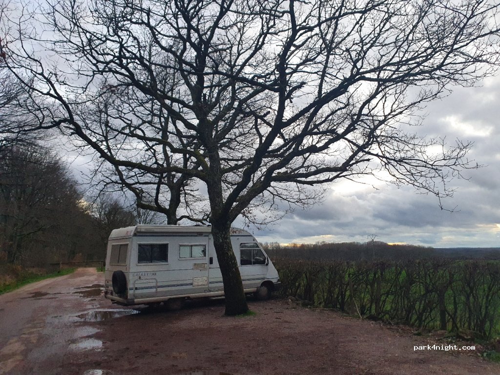 (89200) Avallon - Bois Dieu — foto