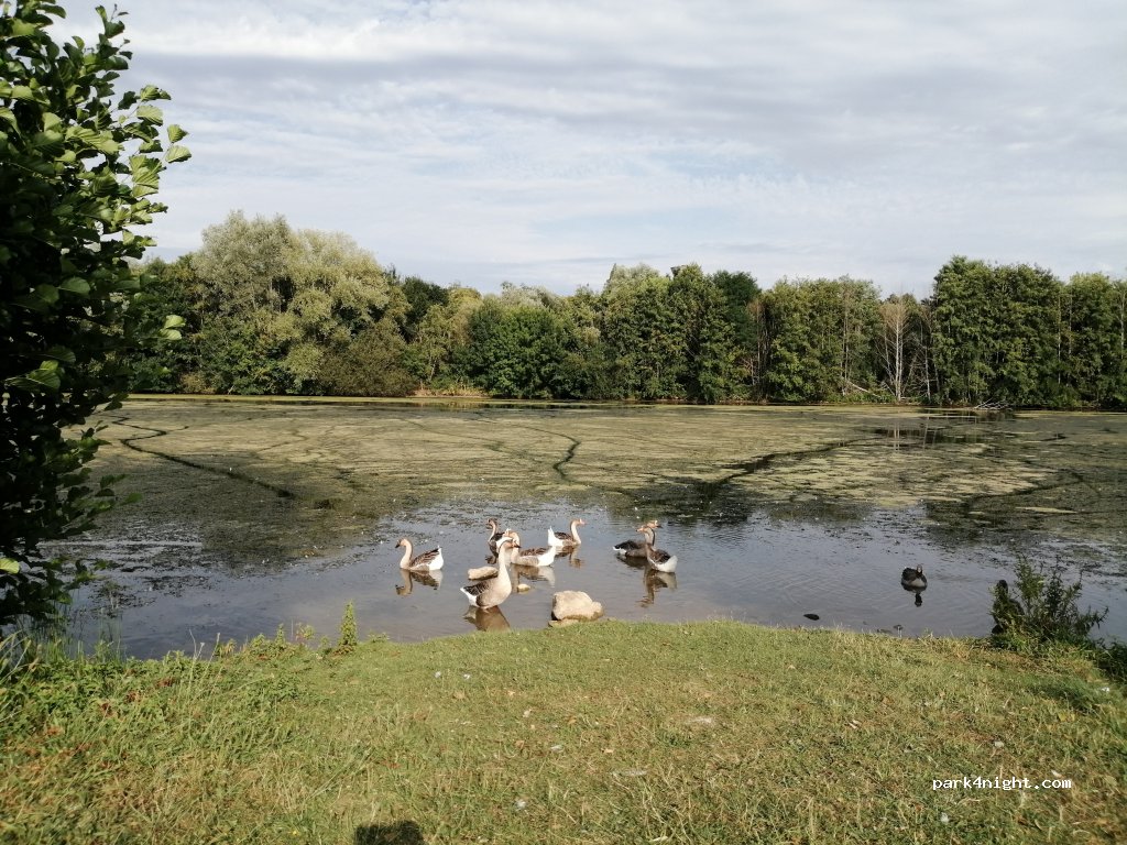 (18290) Mareuil-sur-Arnon - 1140 Mousseau — foto 2