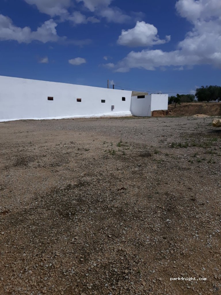 (41100) Coria del Río - Camino la Manta — foto