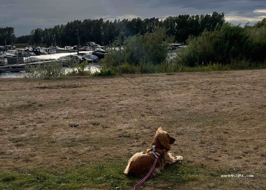 Camping Het Zwarte Schaar — foto