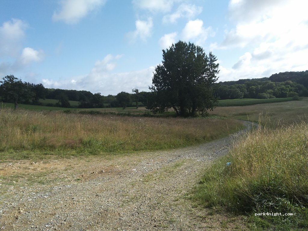 (40800) Latrille - 654 Chemin de l'Hippodrome — foto 3