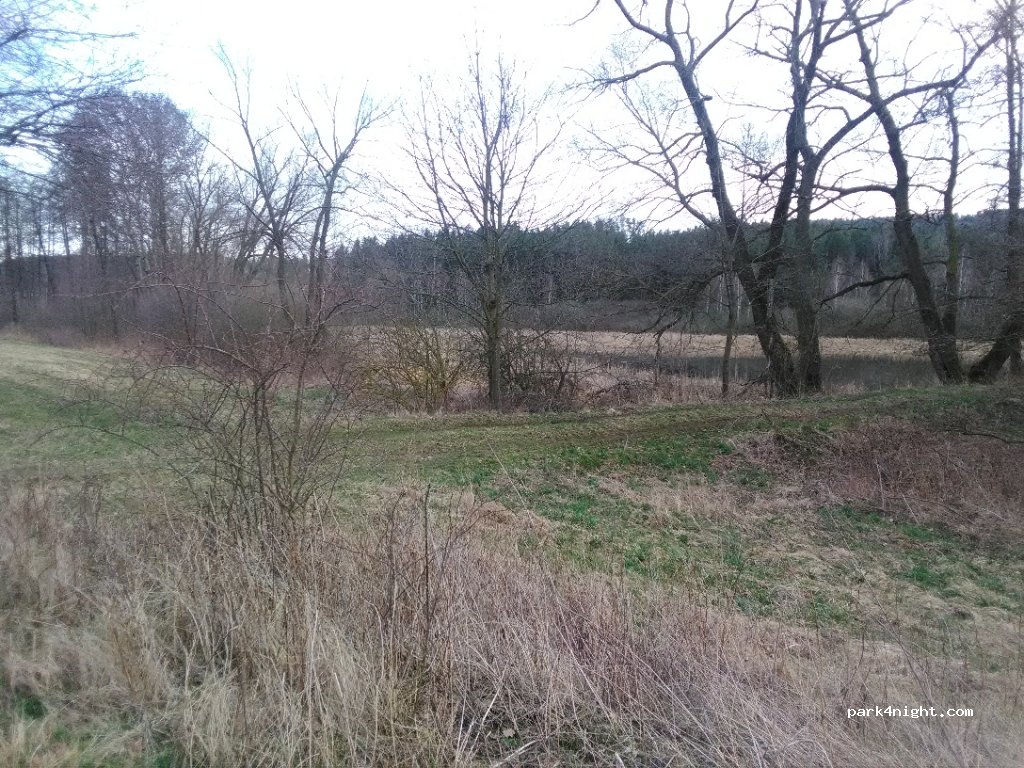 (386 01) Kváskovice - Unnamed Road — foto