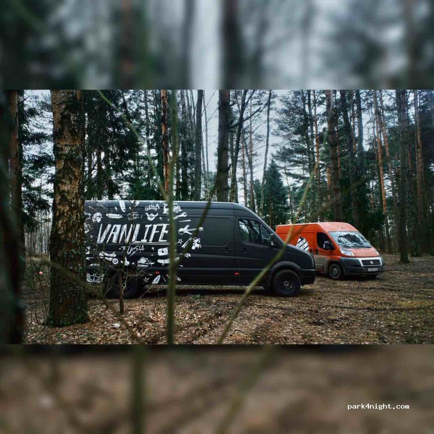 (141044) Moscow Oblast - Unnamed Road — foto
