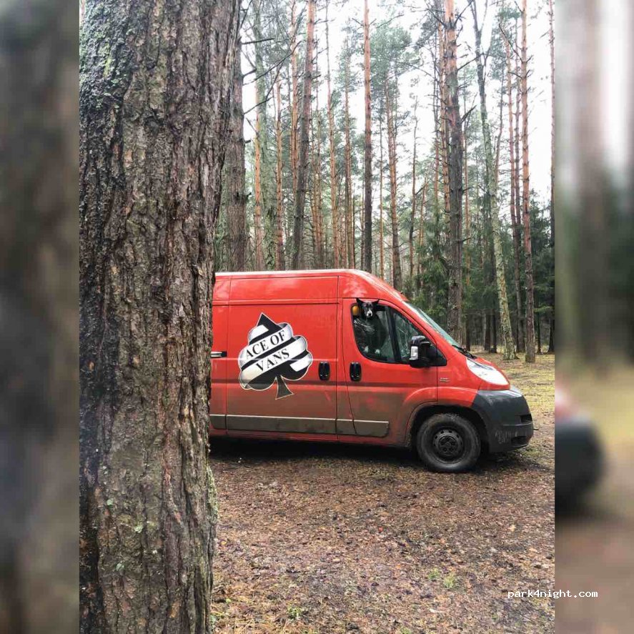 (141044) Moscow Oblast - Unnamed Road — foto 2