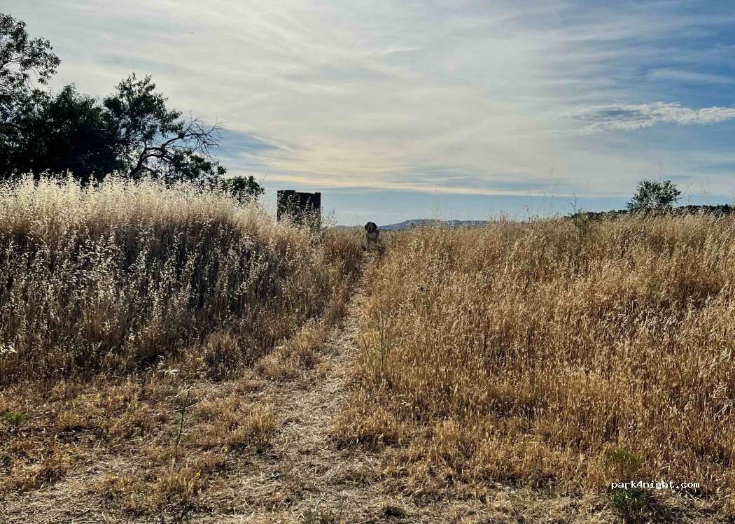 (13980) Alleins - Chemin sous les Aires — foto 3