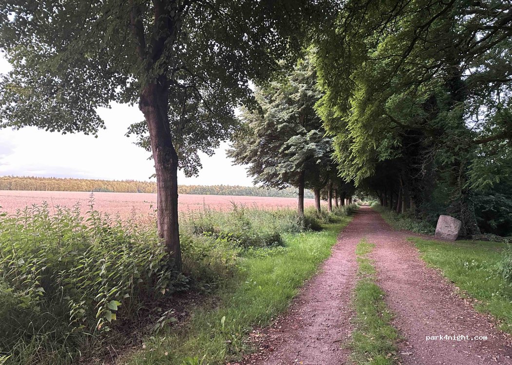 (21726) Oldendorf - — foto 4