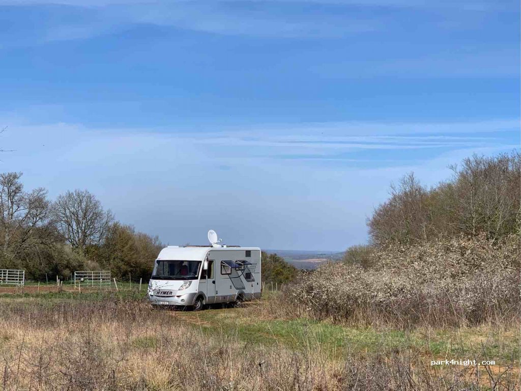 (71250) Flagy - D117 — foto