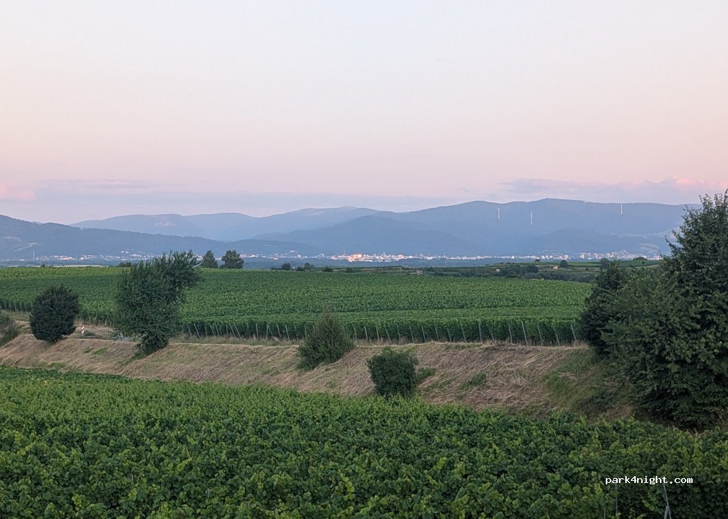 (79356) Eichstetten am Kaiserstuhl - Unnamed Road — foto 5