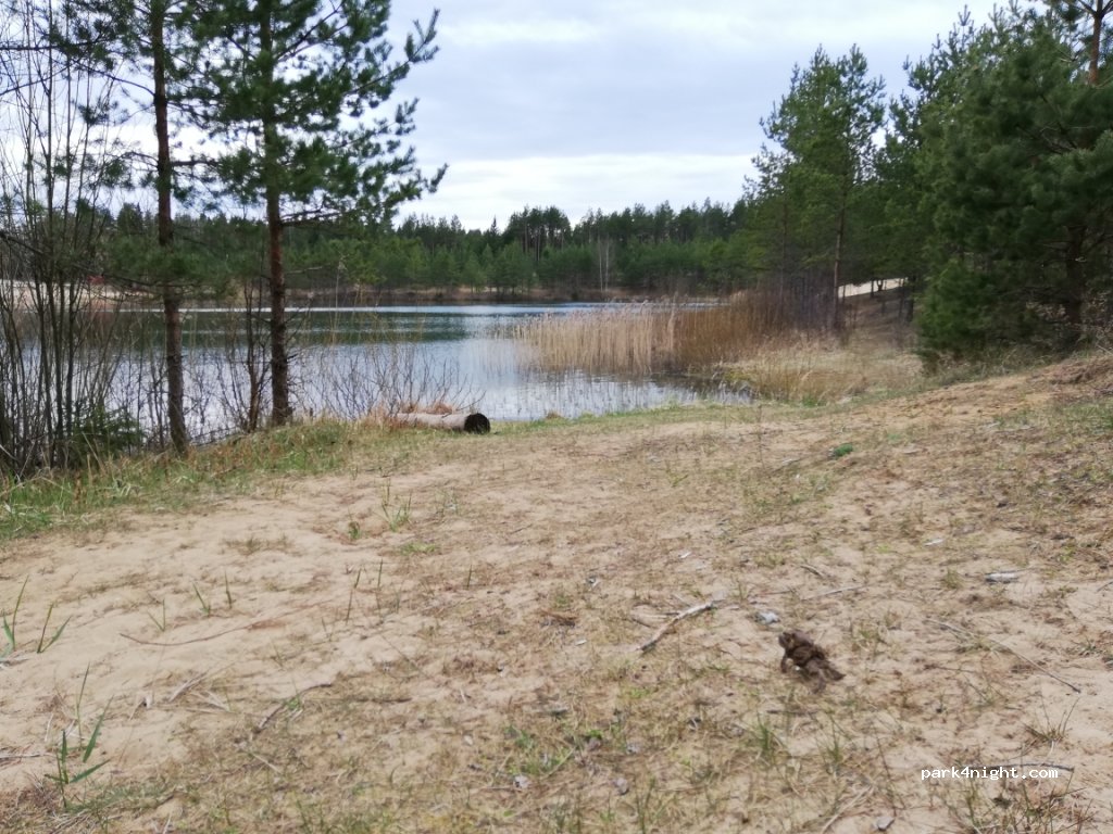 (73412) Mägede - — foto 4