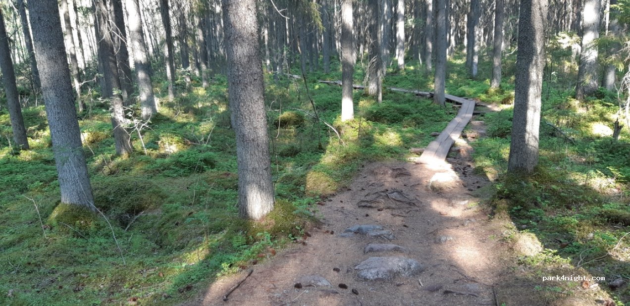 (31380) Tammela - 145 Kyynäräntie — foto 2