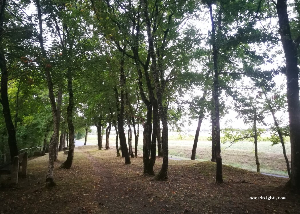 (16430) Balzac - 35 Route de l'Âge — foto 3
