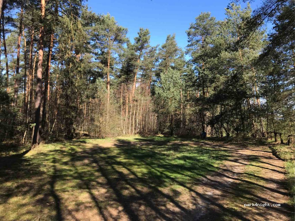 (38524) Sassenburg - L289 — foto