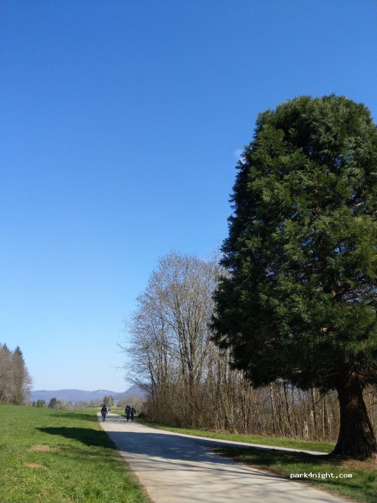 Parkplatz Tannenwald — foto 3