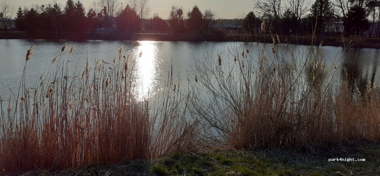 (284 01) Rohozec - Unnamed road — foto 2