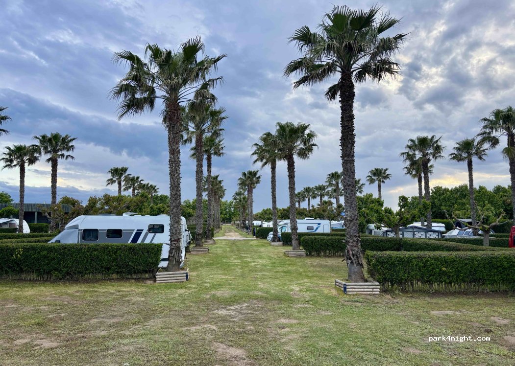 Camping Balena Allegre — foto 5
