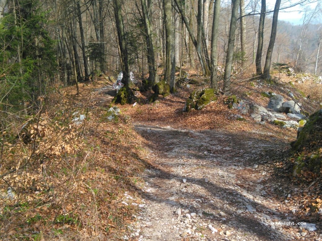 (1215) Medvode - Golo Brdo — foto