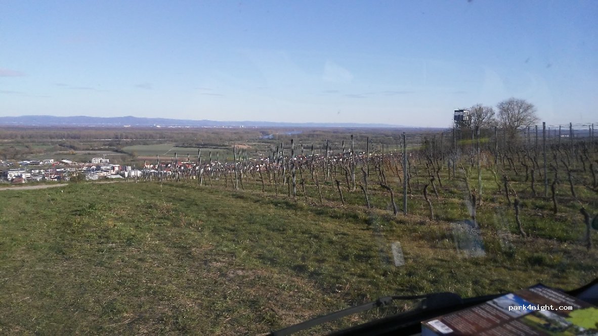 (55276) Oppenheim - K44 — foto