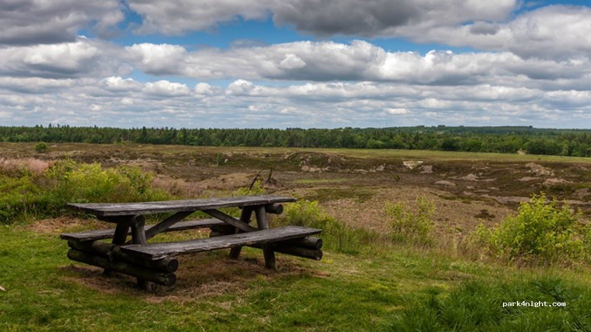 MTB-rute Stensbæk Plantage — foto