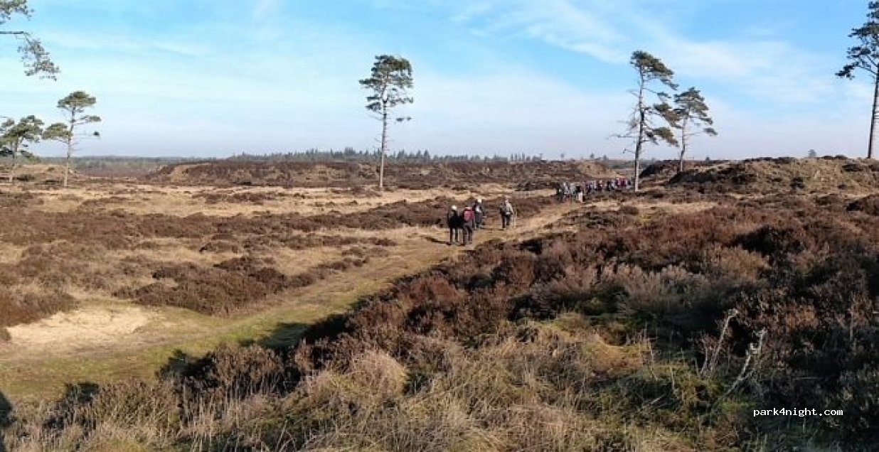 MTB-rute Stensbæk Plantage — foto 2