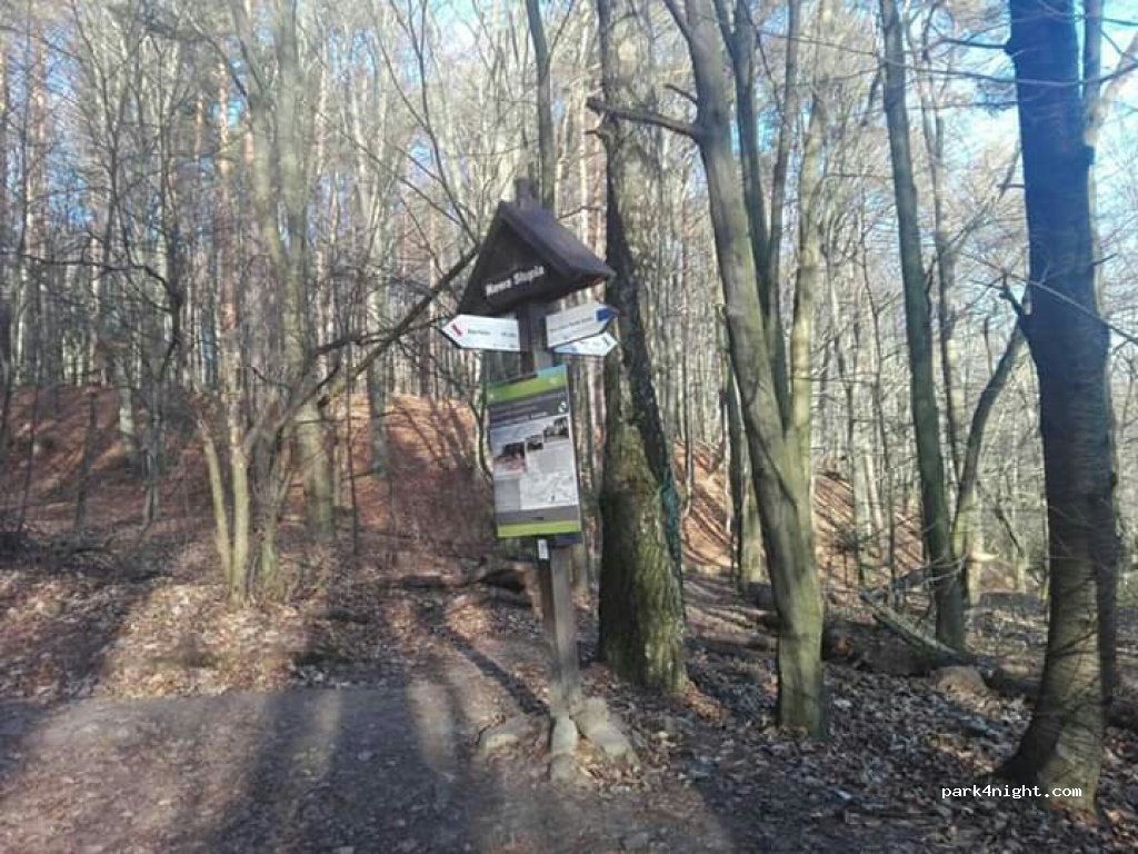 (26-006) Nowa Słupia - 63 Świętokrzyska — foto 2