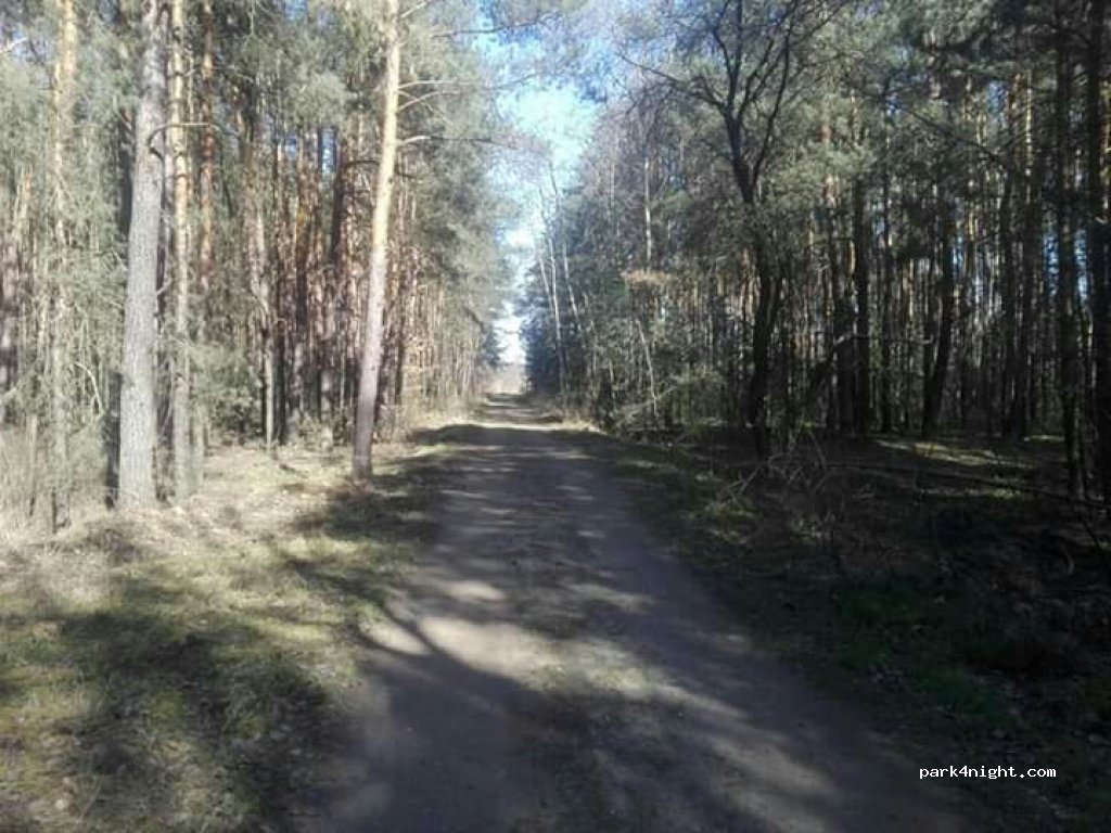 (27-400) Ostrowiec Świętokrzyski - Unnamed Road — foto