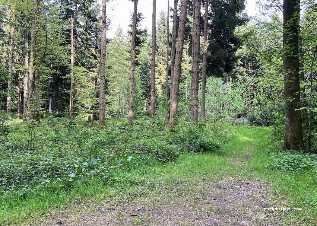 (1699) Le Flon - 1 Chemin du Prin — foto 2