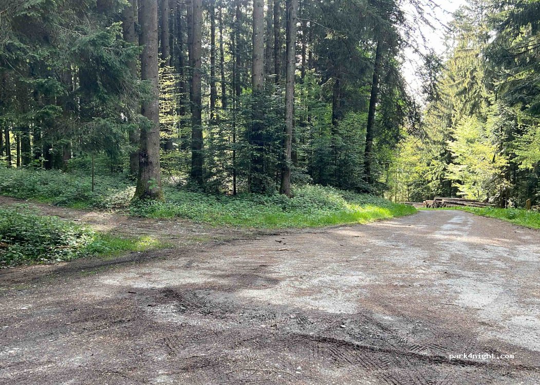 (1699) Le Flon - 1 Chemin du Prin — foto 3
