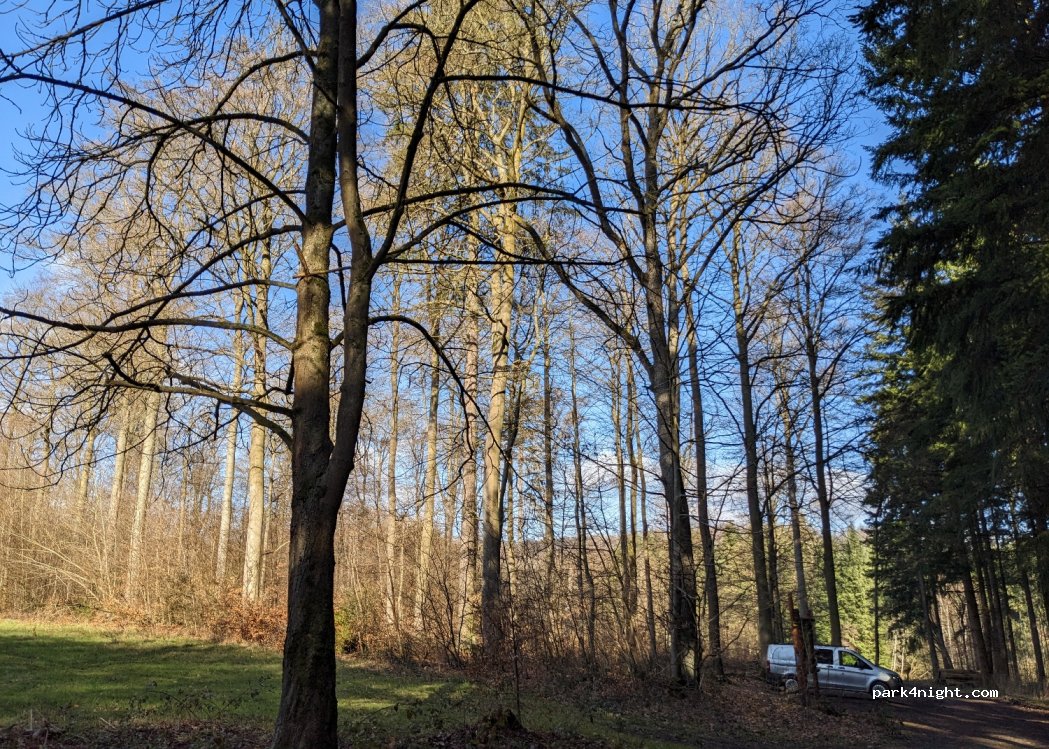 () Staufenberg - L563 — foto 3