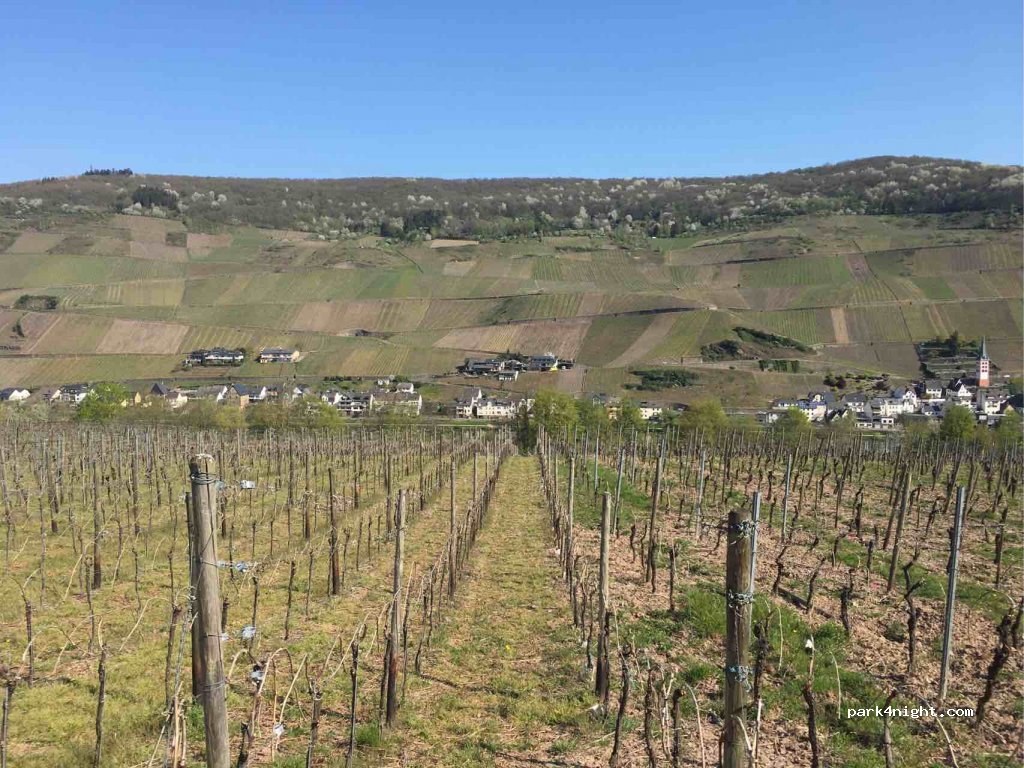 (56856) Zell (Mosel) - Barlstraße — foto 2