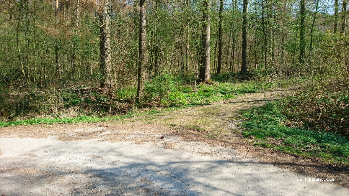 (32657) Lemgo - 20 Steinkamp — foto