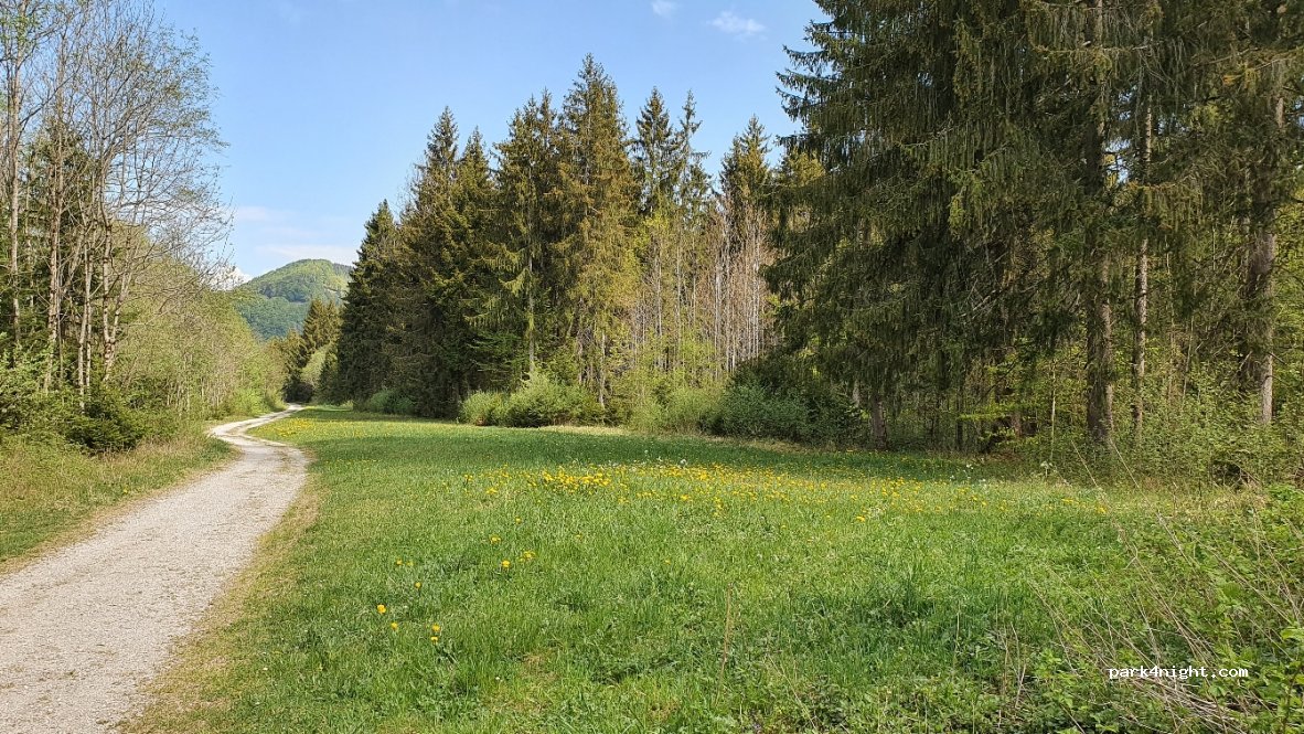 (1737) Plasselb - Sageboden — foto 2