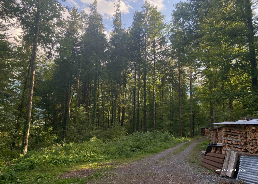 (3858) Hofstetten bei Brienz - 62J Bärglistrasse — foto 3