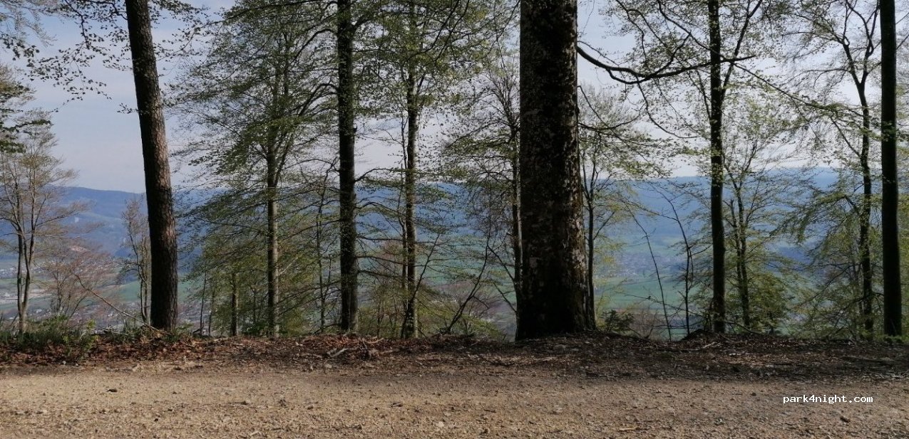 (2800) Delémont - La Haute-Borne — foto