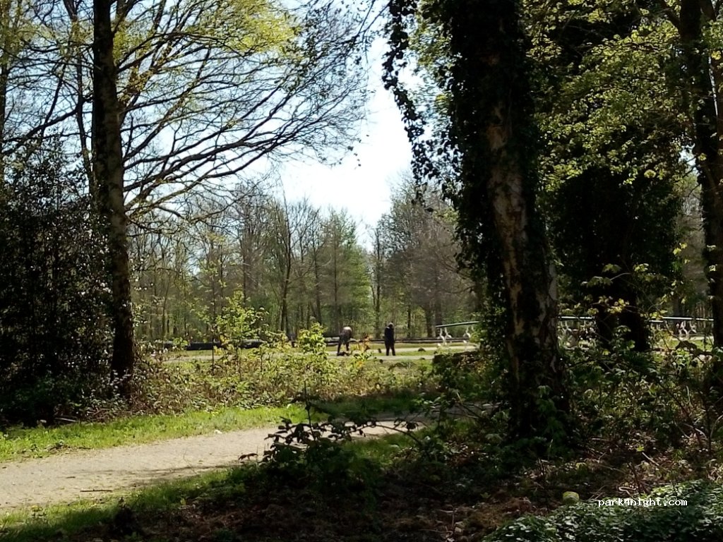 (9602 CR) Hoogezand - 17 Burgemeester van Royenstraat West — foto 2
