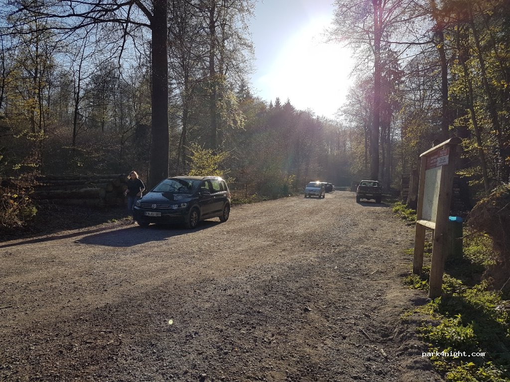 (49201) Dissen am Teutoburger Wald - Rechenbergstrasse — foto