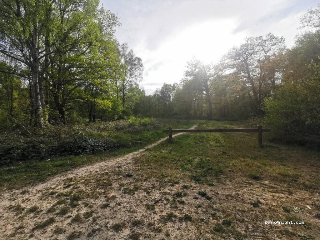 (78610) Auffargis - Route du Chêne aux Loups — foto 2