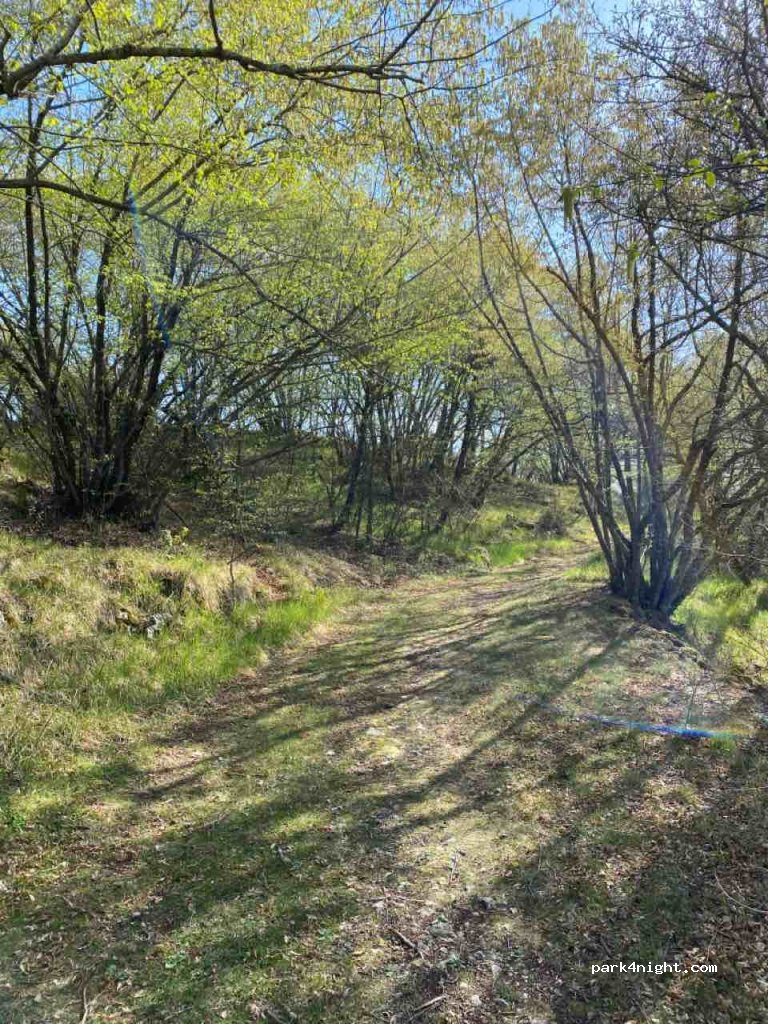 (06440) Peille - Segra — foto 2