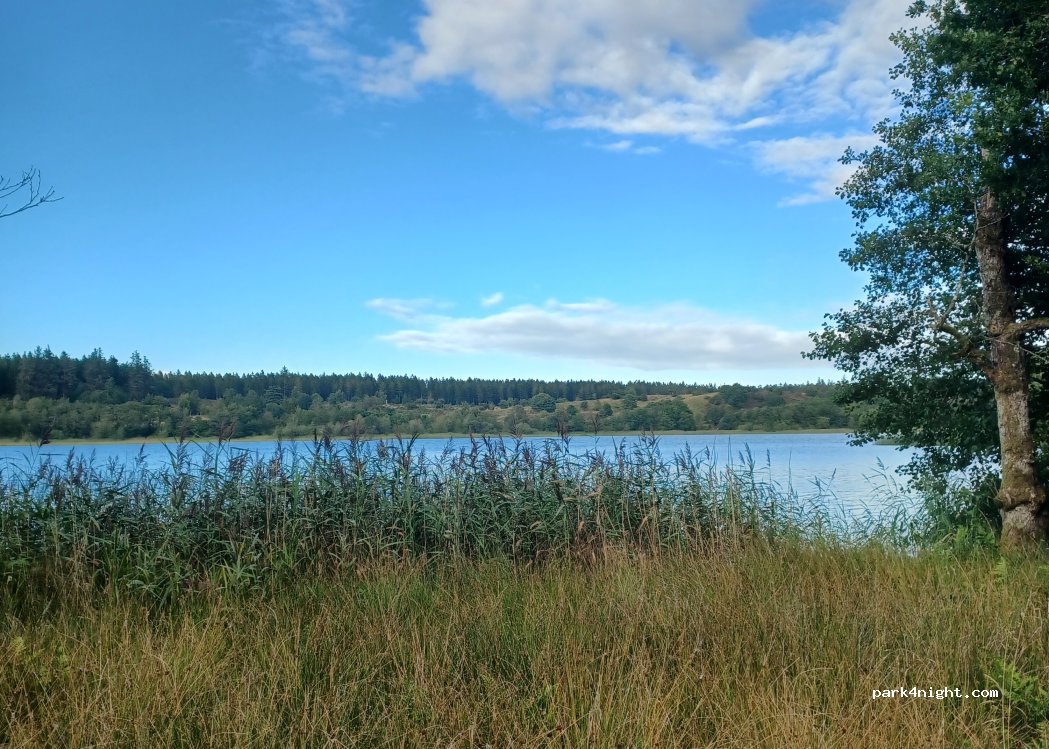 (7323) Give - 5 Rørbækvej — foto 5