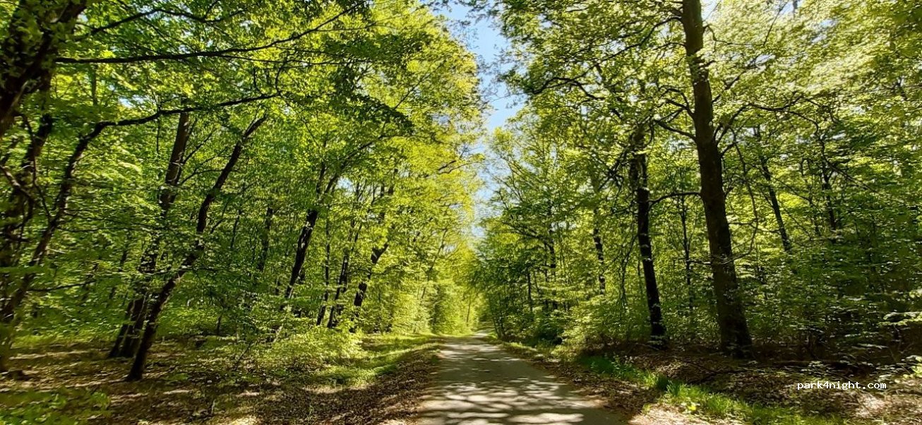(57430) Sarralbe - Unnamed Road — foto