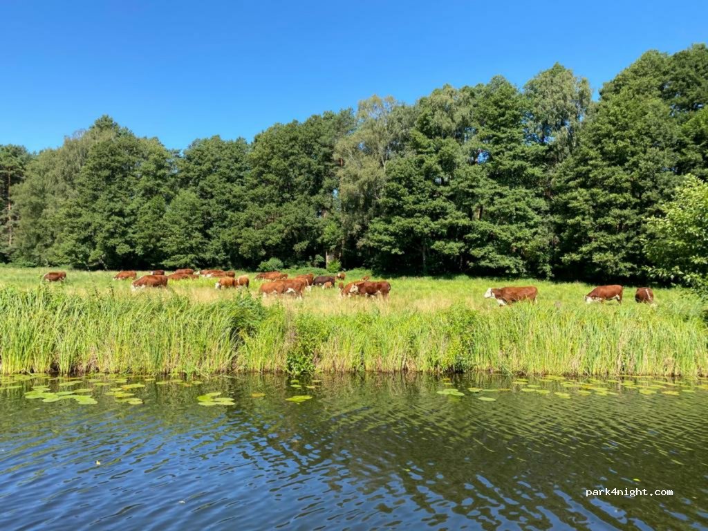 (72525) Münsingen - 39 Wasserstetter Straße — foto