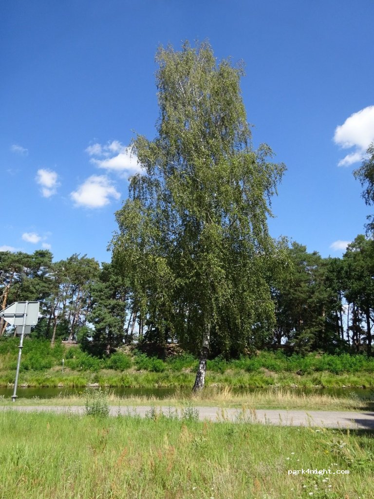 (15528) Spreenhagen - Zur Kiesgrube — foto 2