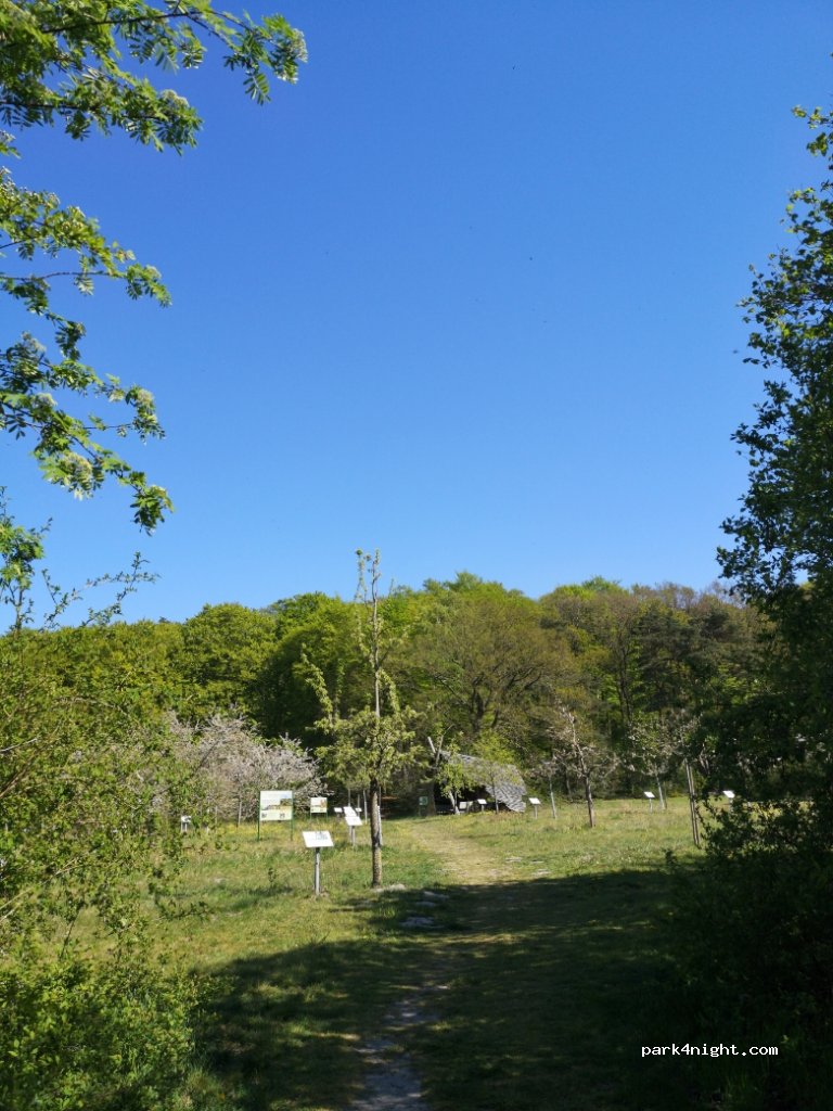 (49448) Brockum - Auf den Bröken — foto