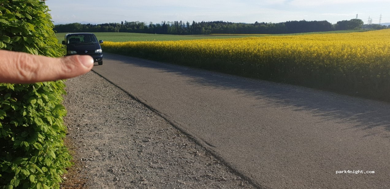 (8311) Brütten - Birch — foto