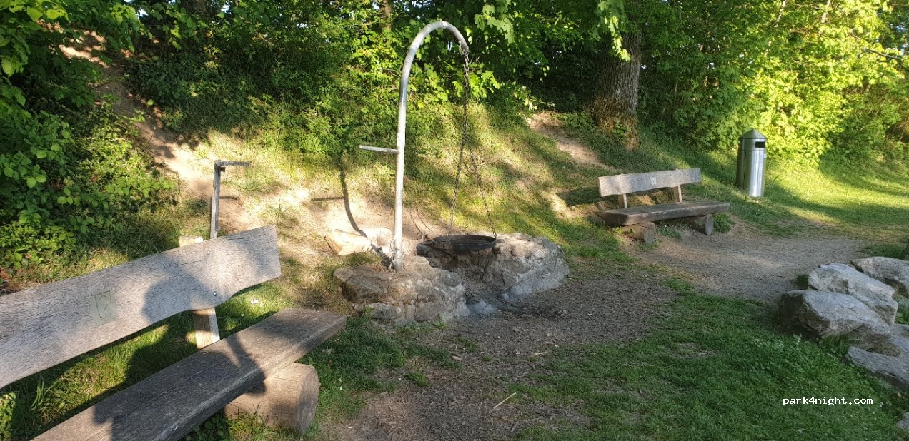 (8311) Brütten - Birch — foto 2