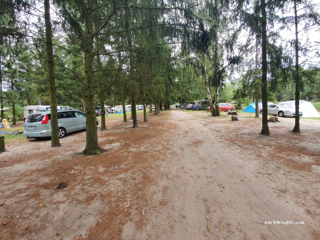 (97-213) Tresta - 8 Sosnowa — foto