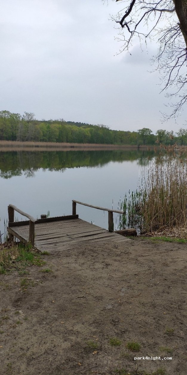 (14947) Nuthe-Urstromtal - 6 Seeweg — foto 4
