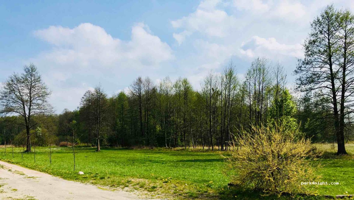 (26-900) Chinów - Chinów 41A — foto