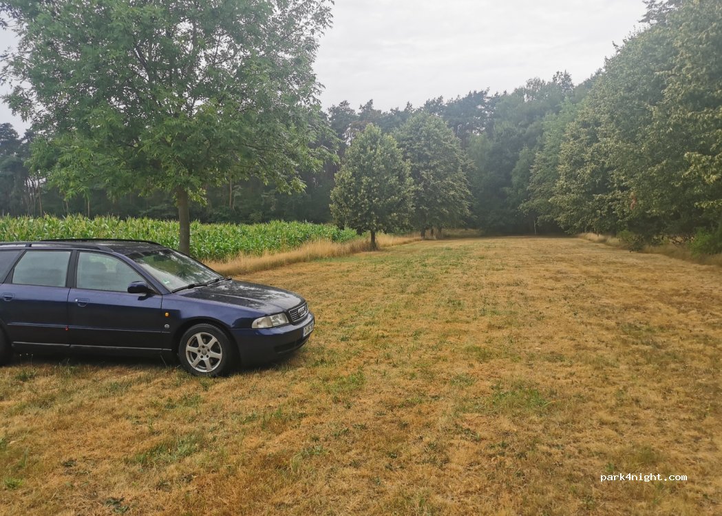 (02959) Groß Düben - 4 Klein Dübener Weg — foto 4