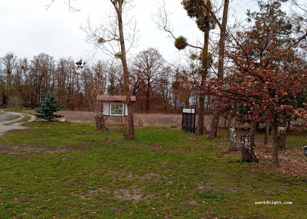 (04860) Torgau - 81 Eilenburger Straße — foto 3